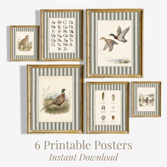 Striped Hunting Bird Nursery Prints, Set of 6 (Digital Download)