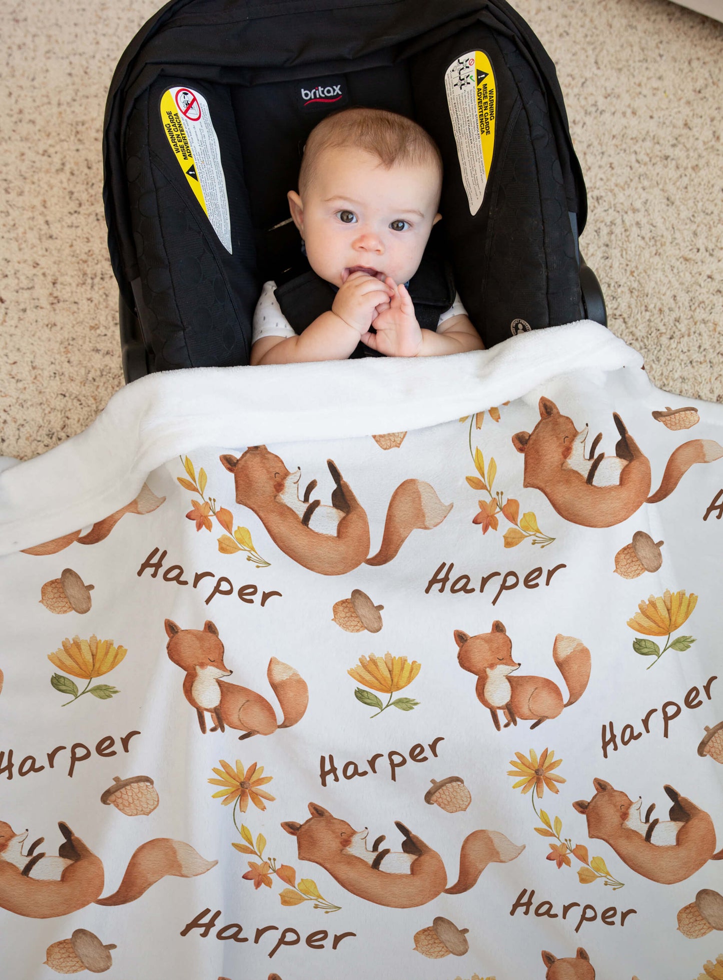 Custom Minky Baby Blanket with Fox and Name