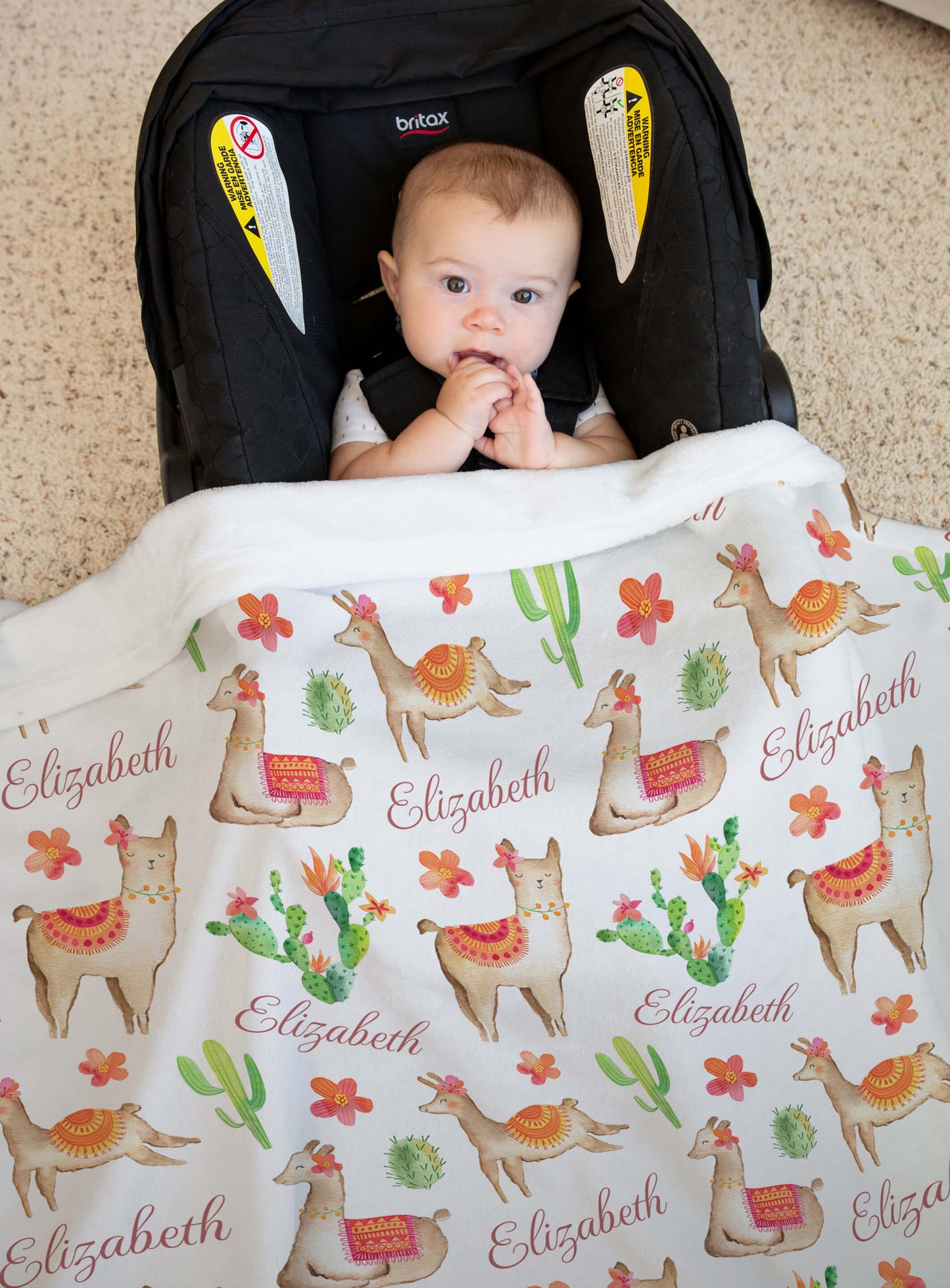 Personalized Baby Blanket with Llamas, Cactus and Name