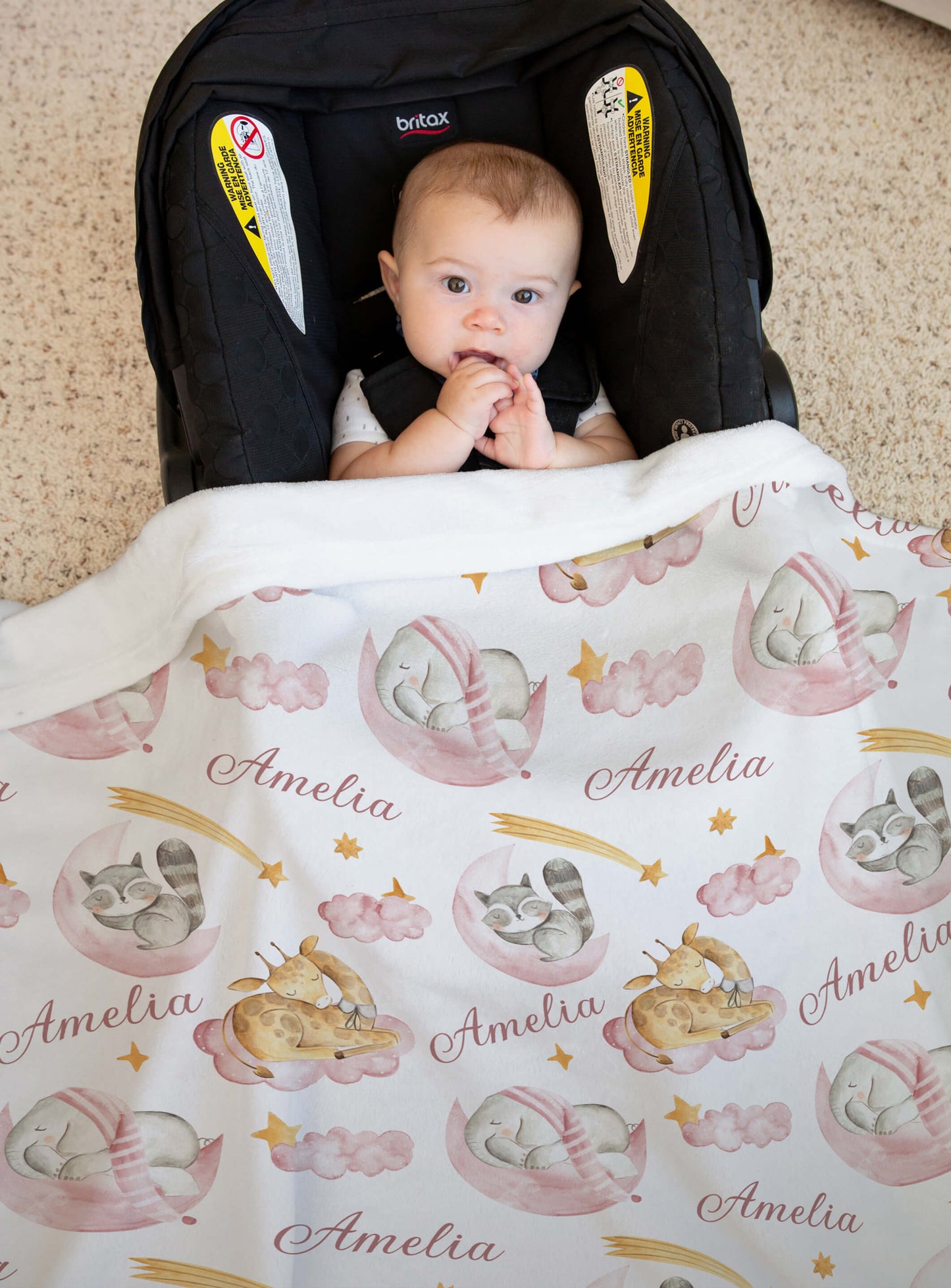 Sleeping Animals - Personalized Name Blanket for Girls with Elephant and Giraffe, Baby Pink