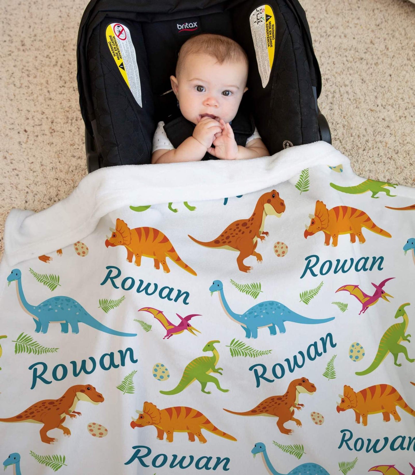 Baby Blankets for Boys with Name and Dinosaurs for Newborn, Infant, Toddler, Kid