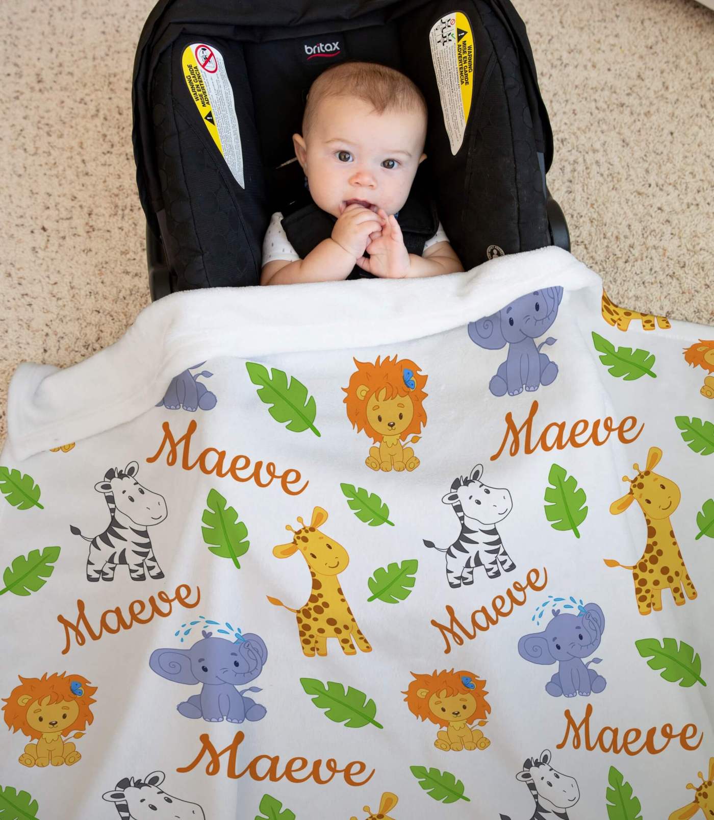Baby Blankets with Name and Safari Animals: Lion, Elephant Zebra, Giraffe